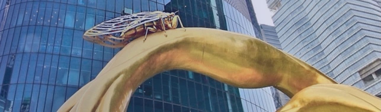 鉴黑担保网(jhdbw)·最具权威唯一维权担保平台